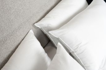 Oreiller Percale 60 x 60 cm
